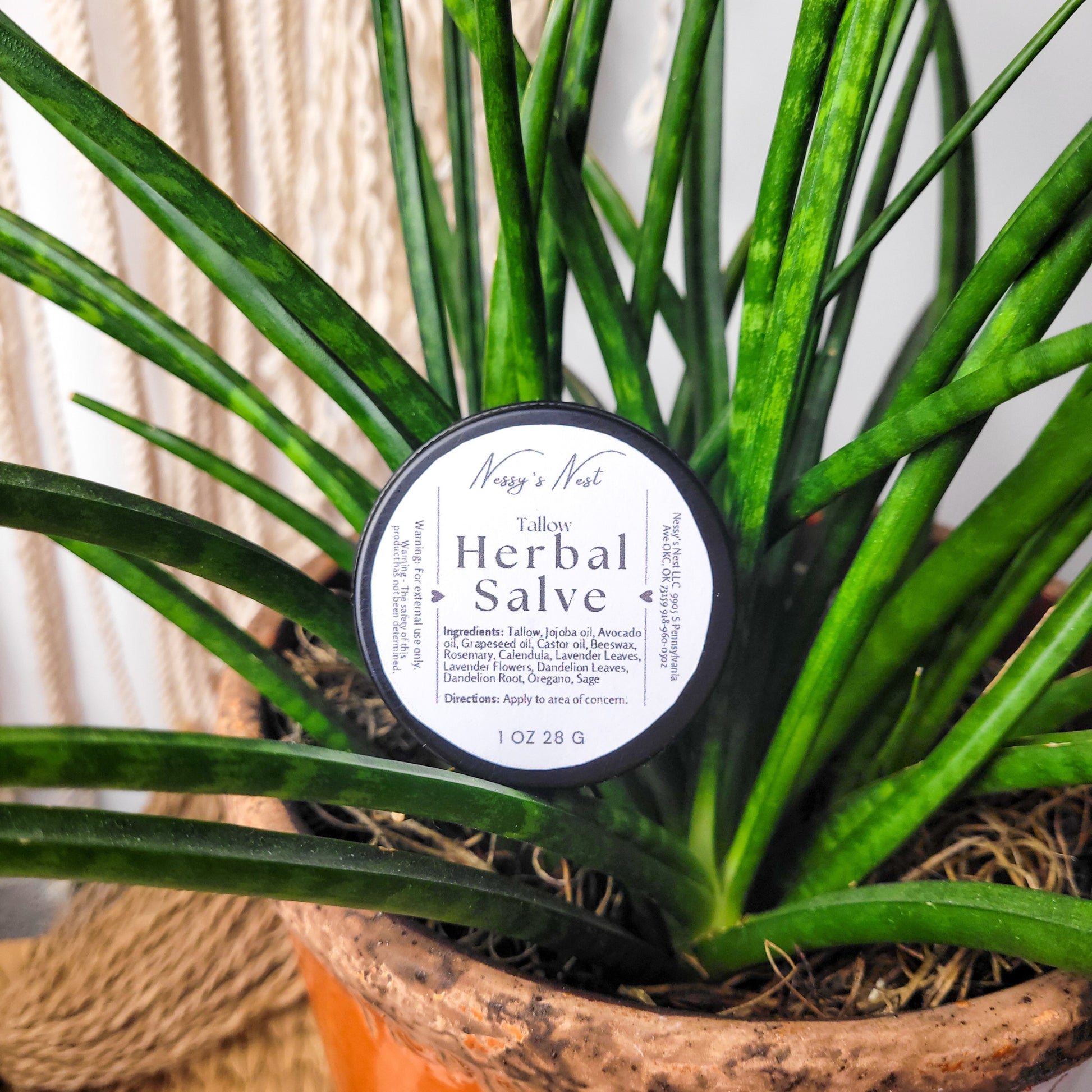 tallow herbal salve skin cream in black tin can with herb plant